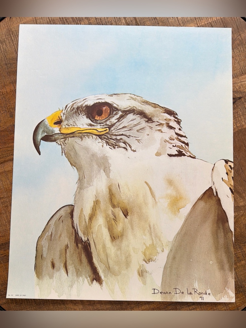“BIRD OF PREY” No 181 EAGLE 1971 ART PRINT bird of Deann De La Ronde Artist EUC